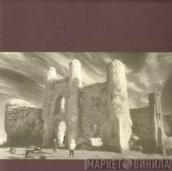  U2  - The Unforgettable Fire