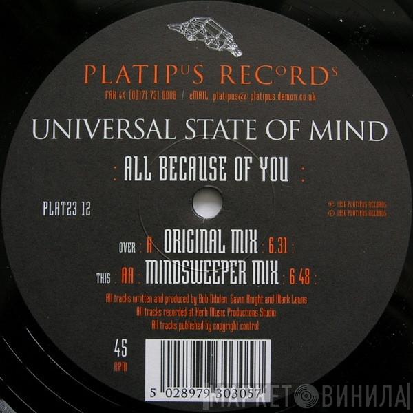 Universal State Of Mind - All Because Of You