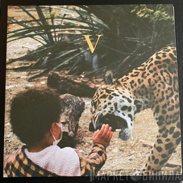 Unknown Mortal Orchestra - V