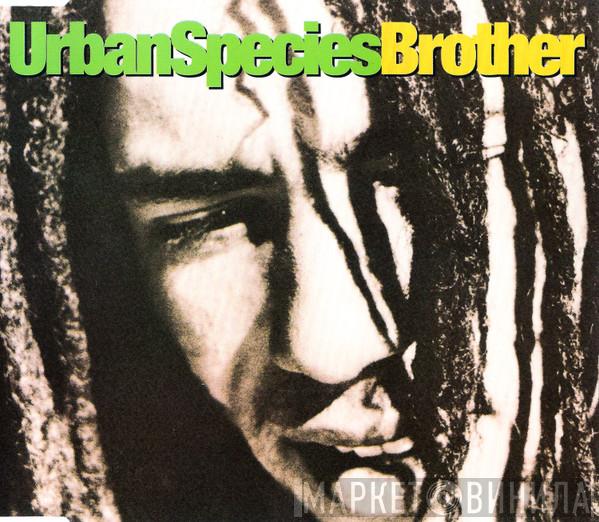 Urban Species - Brother