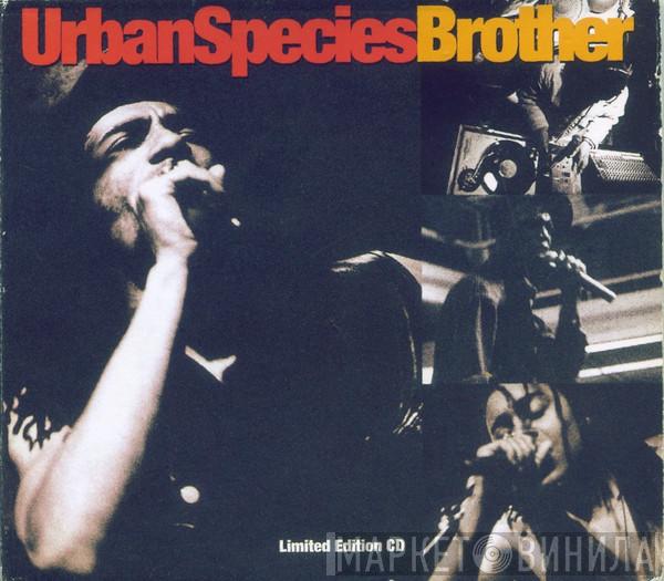 Urban Species - Brother