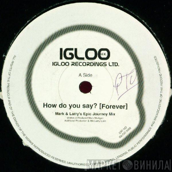 Vapour Trail - How Do You Say? [Forever]