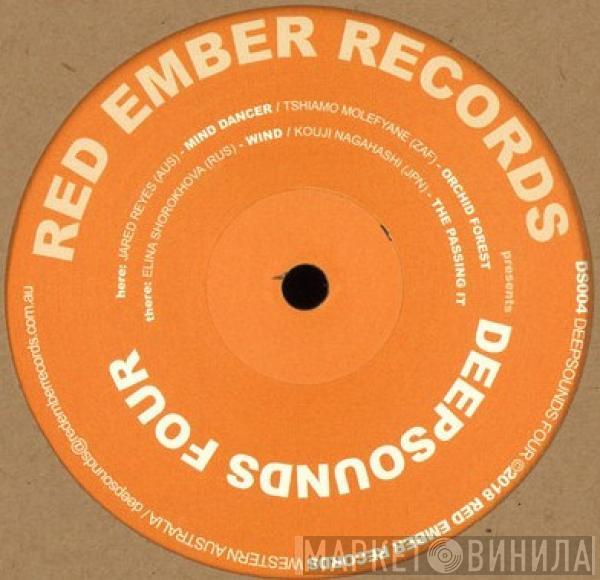 Various - Deepsounds Four