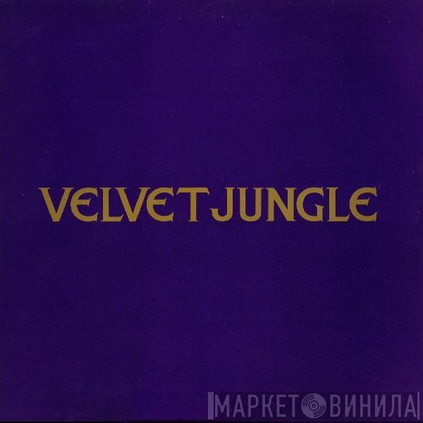 Velvet Jungle - C'mon C'mon (I'm Not In Love With You)