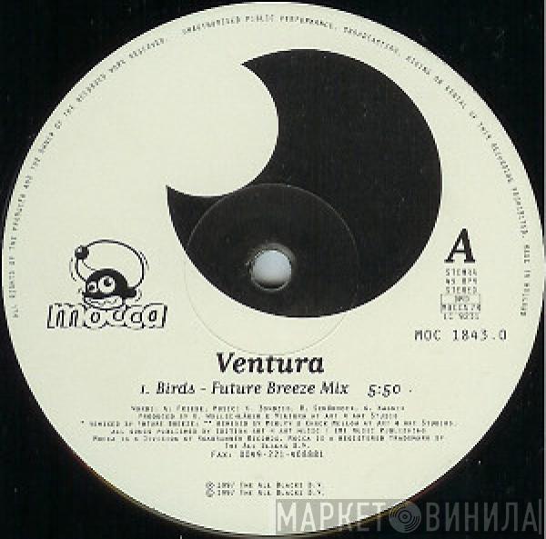 Ventura - Birds