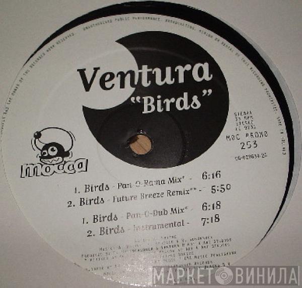 Ventura - Birds