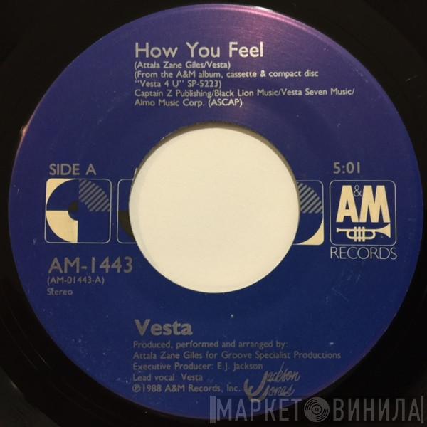 Vesta Williams - How You Feel