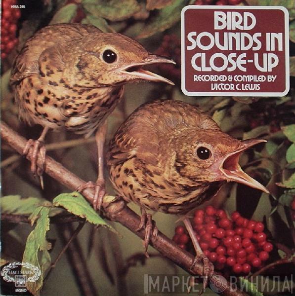 Victor C. Lewis - Bird Sounds In Close Up