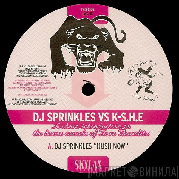 Vs DJ Sprinkles  Kami-Sakunobe House Explosion K-S.H.E  - A Short Introduction To The House Sounds Of Terre Thaemlitz