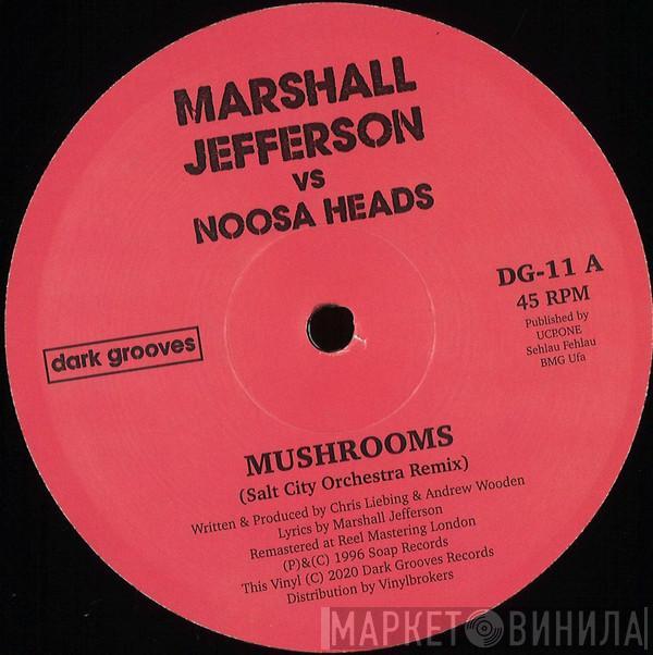 Vs Marshall Jefferson  Noosa Heads  - Mushrooms