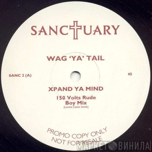 Wag Ya Tail - Xpand Ya Mind