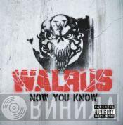 Walrus  - Now You Know