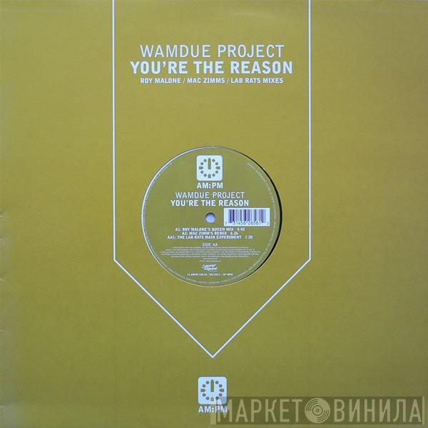 Wamdue Project - You're The Reason