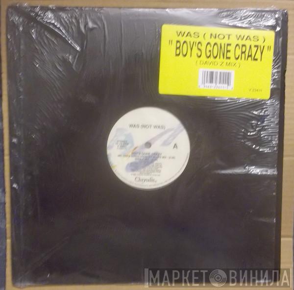  Was (Not Was)  - Boy's Gone Crazy