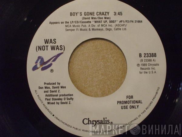  Was (Not Was)  - Boy's Gone Crazy