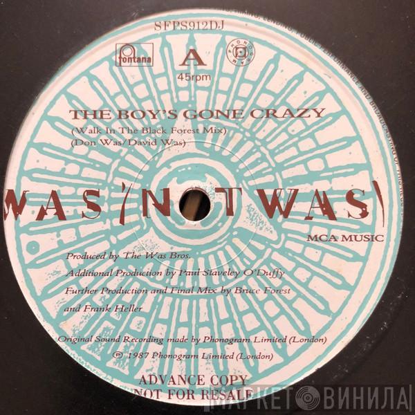 Was (Not Was) - The Boy's Gone Crazy