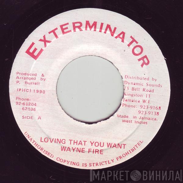 Wayne Fire - Loving That You Want