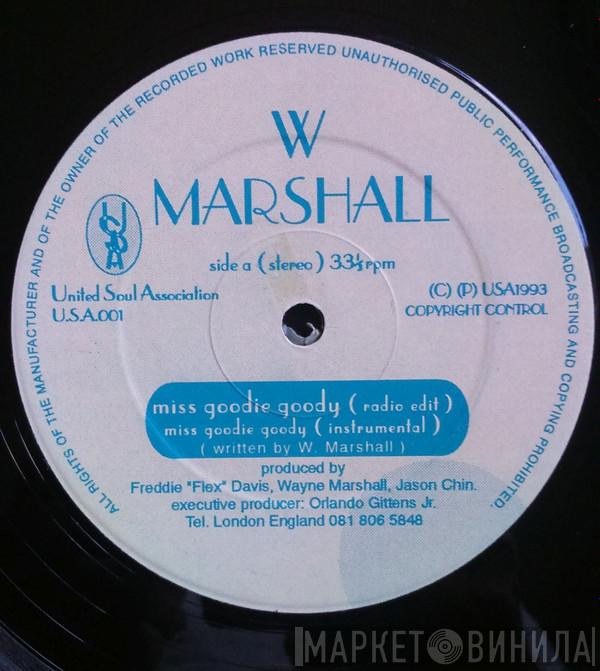 Wayne Marshall  - Miss Goodie Goody