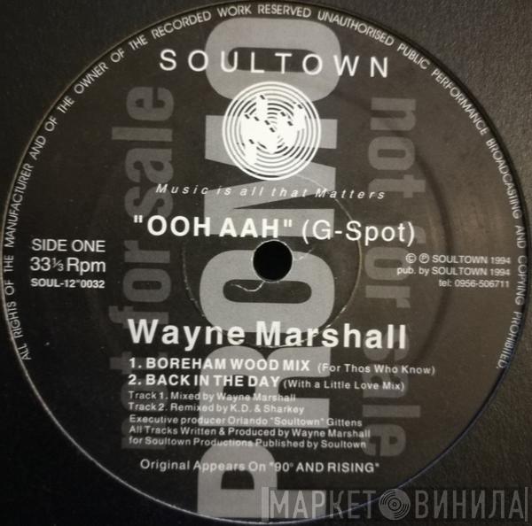 Wayne Marshall  - Ooh Aah (G-Spot)