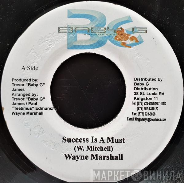 Wayne Marshall - Success Is A Must