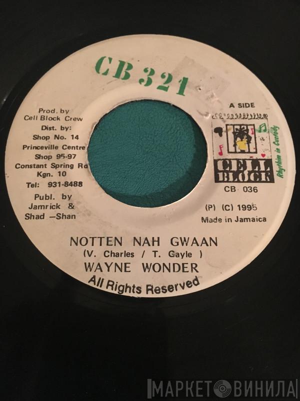 Wayne Wonder - Notten Nah Gwaan