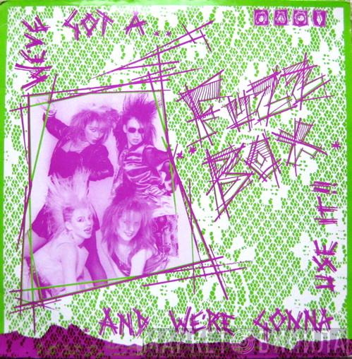 We've Got A Fuzzbox And We're Gonna Use It - Rules And Regulations