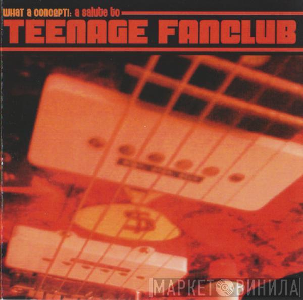  - What A Concept!: A Salute To Teenage Fanclub