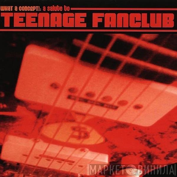  - What A Concept!: A Salute To Teenage Fanclub