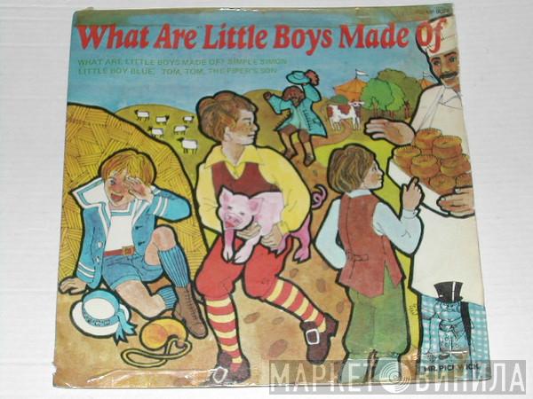  - What Are Little Boys Made Of?