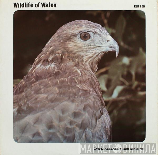  - Wildlife Of Wales