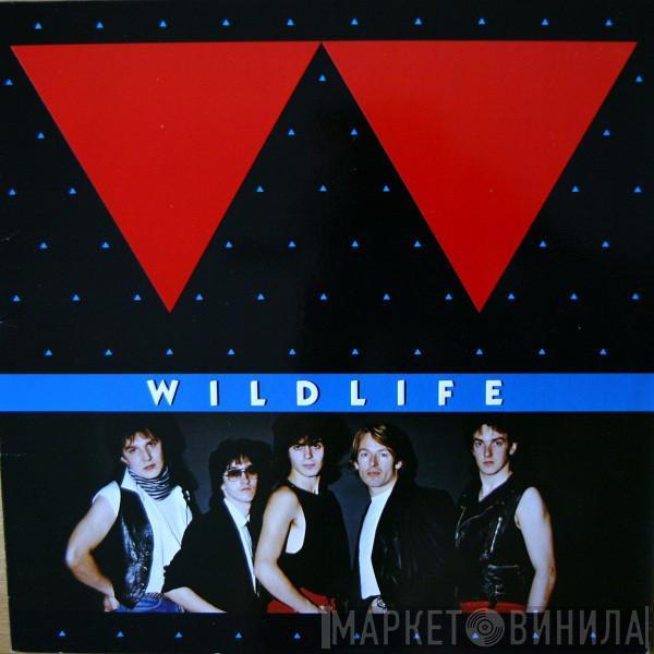 Wildlife  - Wildlife