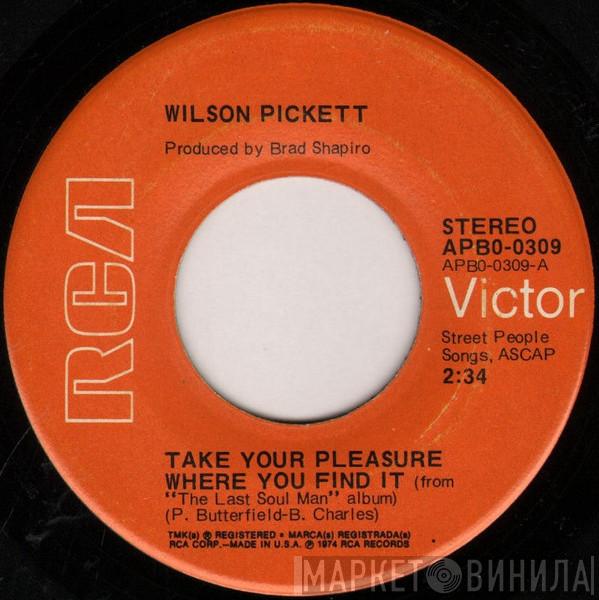 Wilson Pickett - Take Your Pleasure Where You Find It