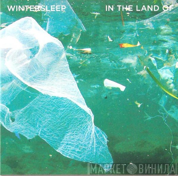 Wintersleep - In The Land Of
