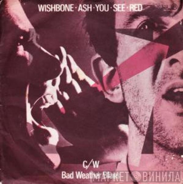 Wishbone Ash - You See Red