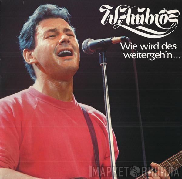  Wolfgang Ambros  - Wie Wird Des Weitergeh'n...