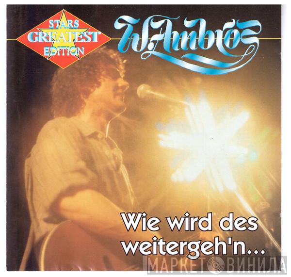  Wolfgang Ambros  - Wie Wird Des Weitergeh'n...