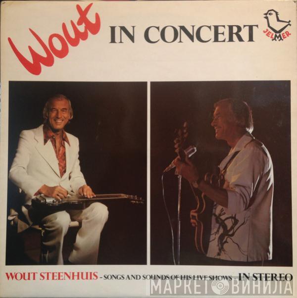 Wout Steenhuis - In Concert