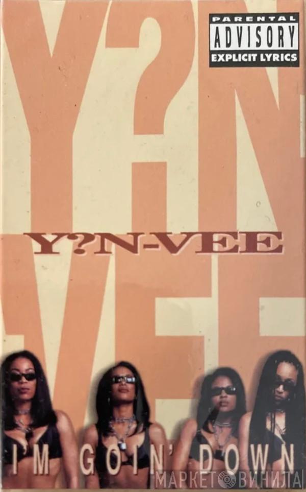  Y.N.V.  - I'm Goin' Down