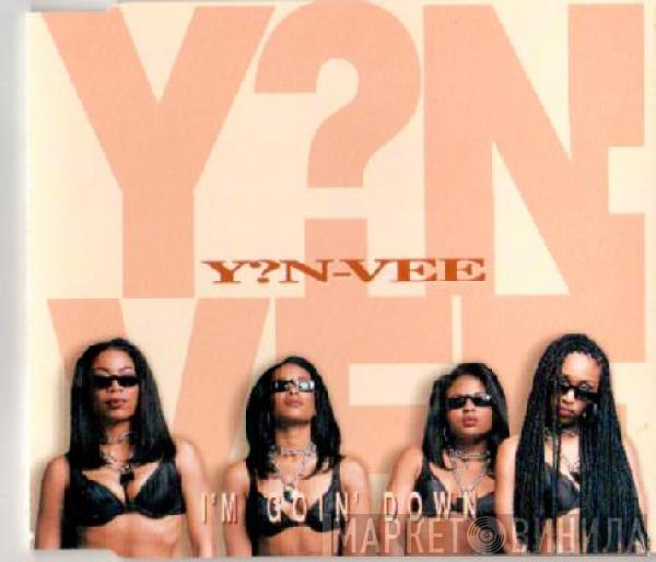 Y.N.V. - I'm Goin' Down