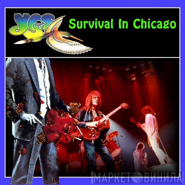  Yes  - Survival In Chicago