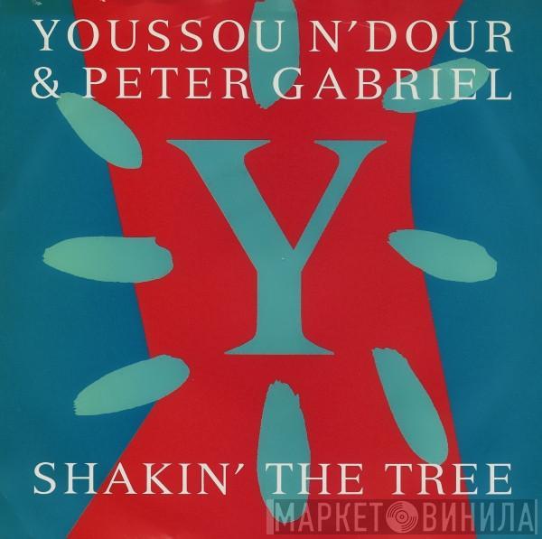 Youssou N'Dour, Peter Gabriel - Shakin' The Tree