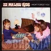 Ze Malibu Kids - I Won't Forget You