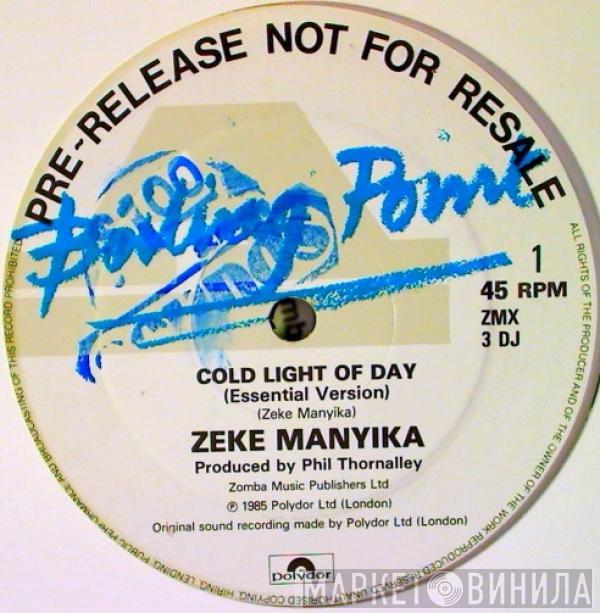 Zeke Manyika - Cold Light Of Day