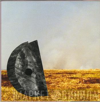 Zoviet France - Shouting At The Ground