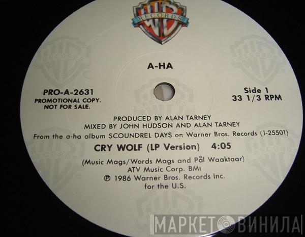  a-ha  - Cry Wolf