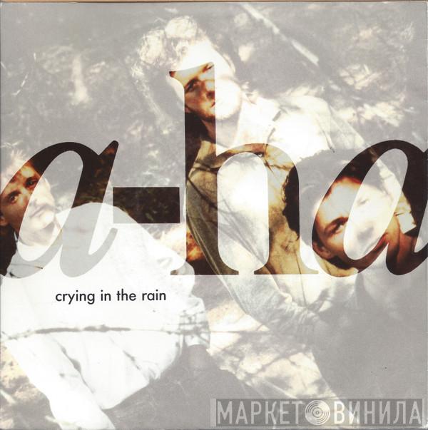 a-ha - Crying In The Rain