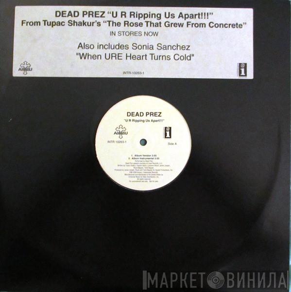 dead prez - U R Ripping Us Apart!!!
