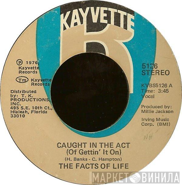 facts of life - Caught In The Act (Of Gettin' It On) / L-O-V-E