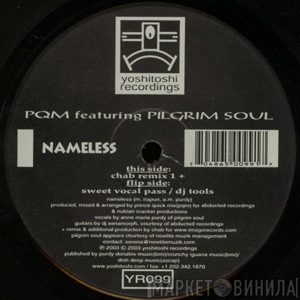 feat Prince Quick Mix  Pilgrim Soul  - Nameless