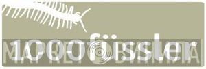 1000füssler - Винил CD и Кассеты лейбла 1000füssler на сайте МаркетВинила
